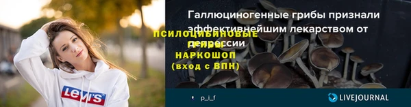 дурь Балахна