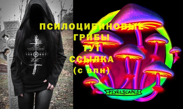 стаф Липки