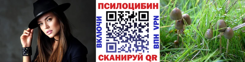Купить  Кубинка  Галлюциногенные грибы мицелий 